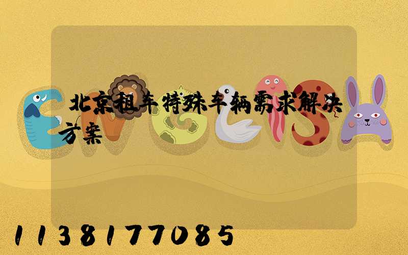 北京租车特殊车辆需求解决方案
