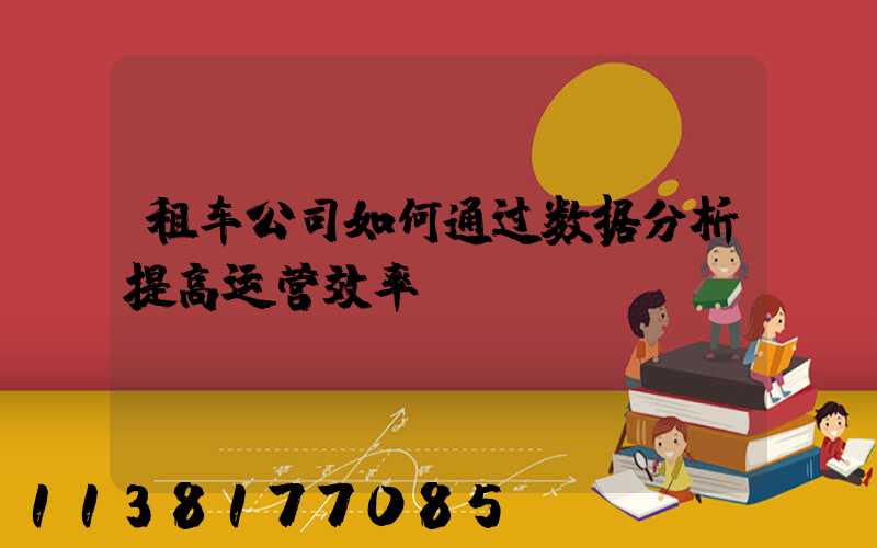 租车公司如何通过数据分析提高运营效率？