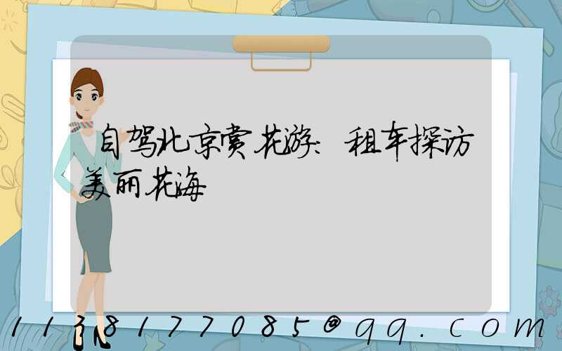 自驾北京赏花游：租车探访美丽花海